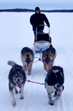 Yukon-2006