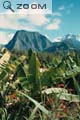 Cirque de Salazie