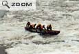 Course de canot sur le St Laurent