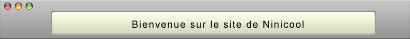 bienvenue sur le site de Ninicool