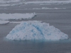 Iceberg