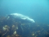 DSCF0199