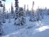 DSCF0145 DSCF0145
