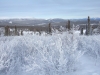 DSCF0167 DSCF0167