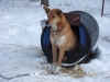 DSCF0174 DSCF0174