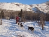 DSCF0262 DSCF0262