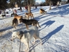 DSCF0334 DSCF0334