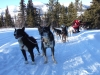 DSCF0342 DSCF0342