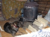 DSCF0357 DSCF0357