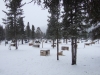 DSCF0418 DSCF0418