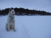 Finlande2007-054