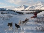 2009-Yukon