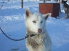 2009-Yukon-85
