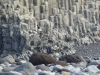 Islande-2010-49