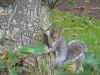 UK-2010-09