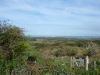 UK-2010-17