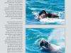 livre-jdb_000039 livre-jdb_000039