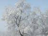 Aix sous la neige