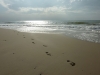 Bournemouth